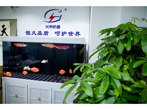 浪涌保護(hù)器