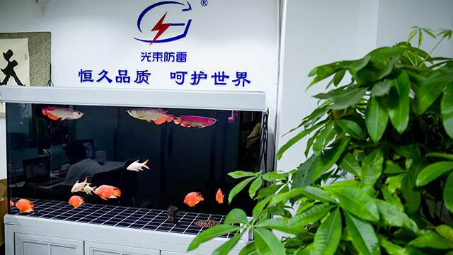 專業防雷器生產廠家